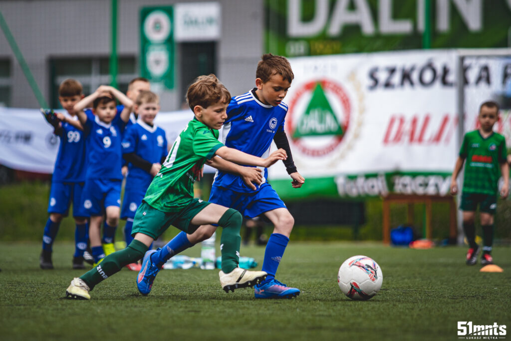 Mrówka Cup