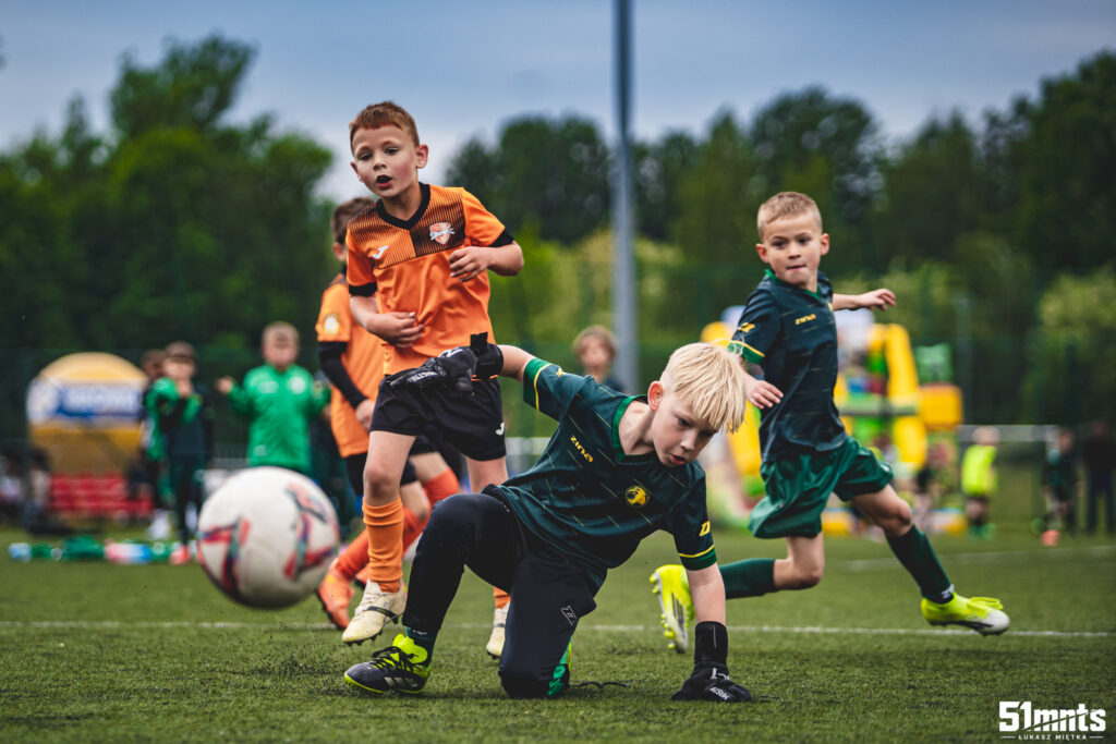 Mrówka Cup