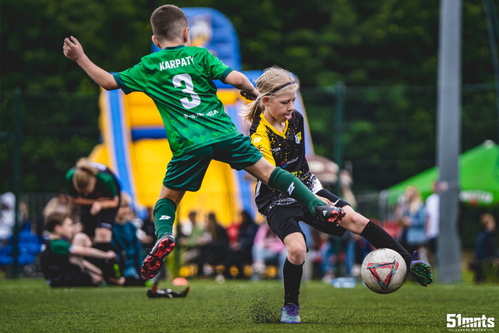 Mrówka Cup